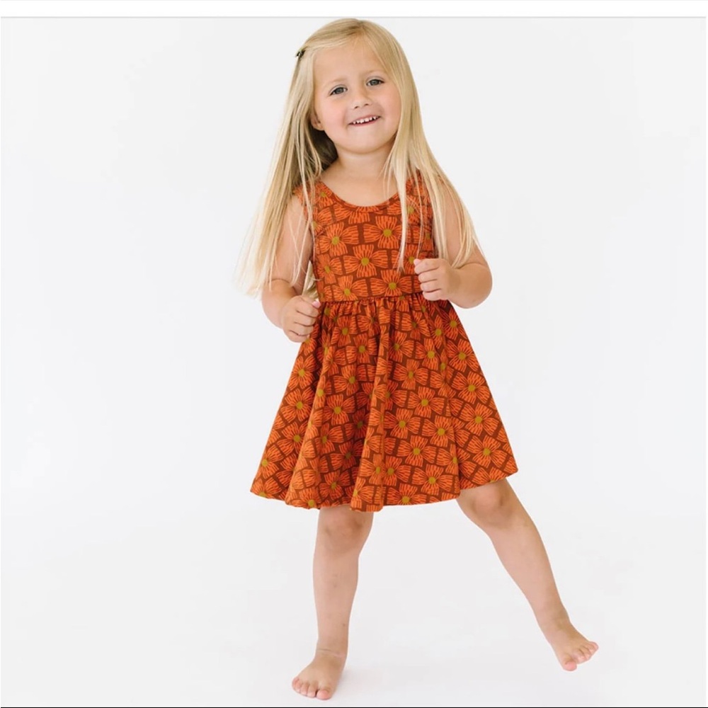 Alice + Ames fall flower dress